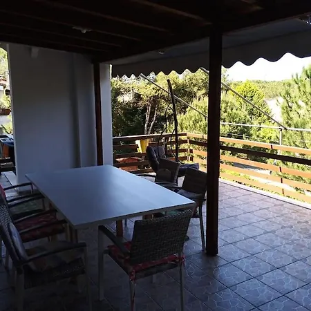 Apartment Pine Tree App 150m By Beach!