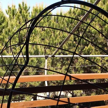 Pine Tree App 150m By Beach! Apartment