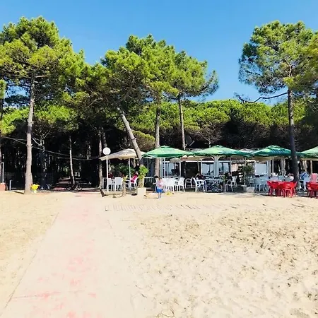 Apartment Pine Tree App 150m By Beach!