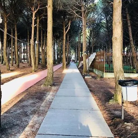 Pine Tree App 150m By Beach! Golem (Tirana)