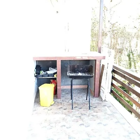 Apartment Pine Tree App 150m By Beach! Golem (Tirana)